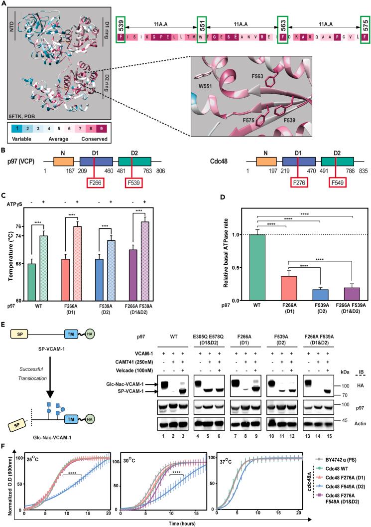 https://cdn.ncbi.nlm.nih.gov/pmc/blobs/61bc/11214410/fb6561e1dc70/gr1.jpg