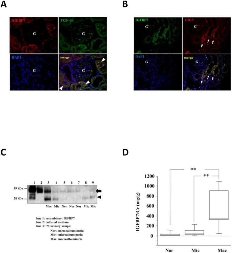 https://cdn.ncbi.nlm.nih.gov/pmc/blobs/61bd/4790858/907f3c994122/pone.0150897.g005.jpg