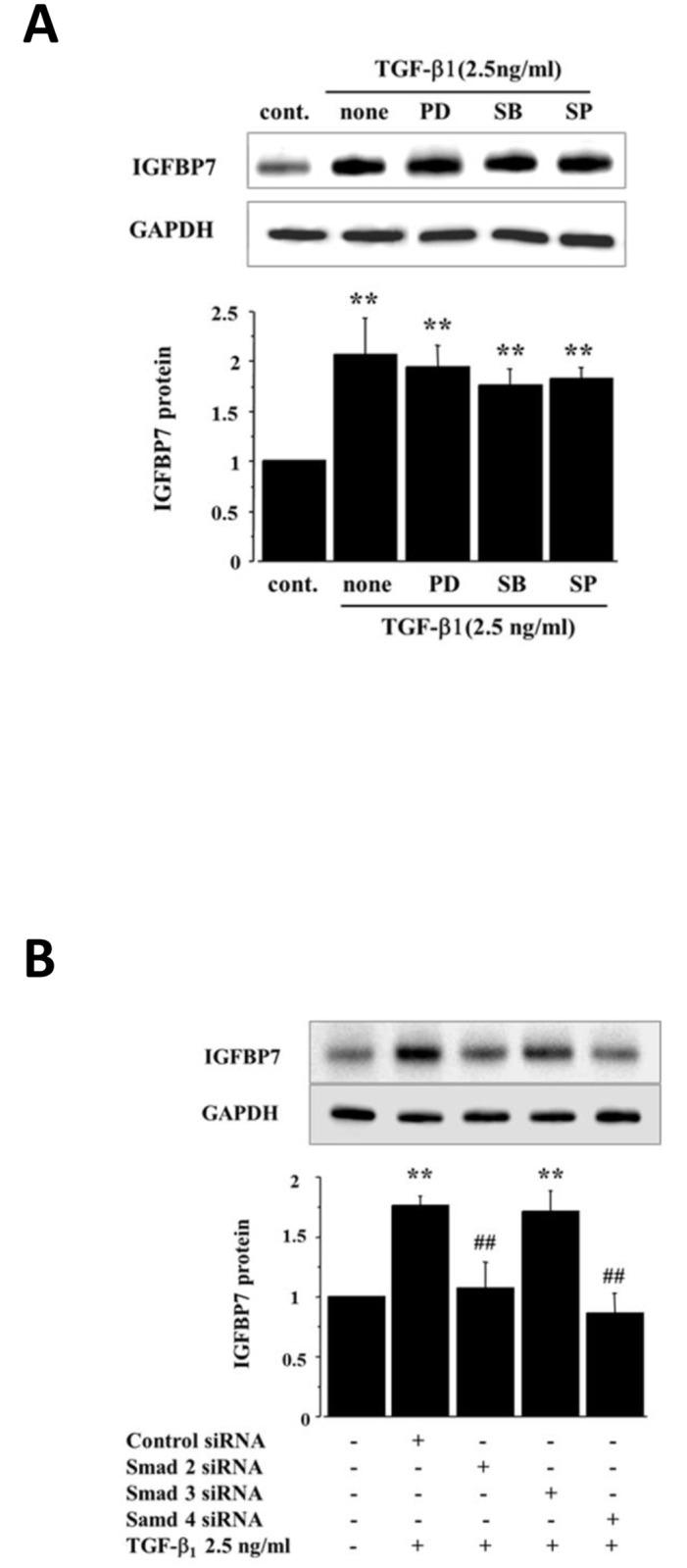 https://cdn.ncbi.nlm.nih.gov/pmc/blobs/61bd/4790858/e871e673db8b/pone.0150897.g003.jpg