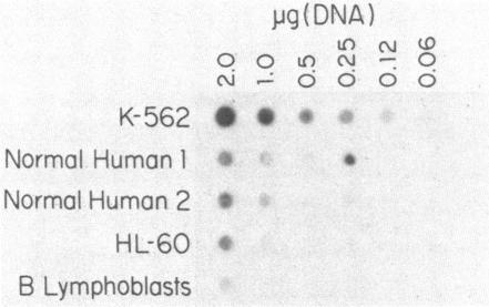 https://cdn.ncbi.nlm.nih.gov/pmc/blobs/61bf/384135/27c04b1391c9/pnas00641-0223-a.jpg