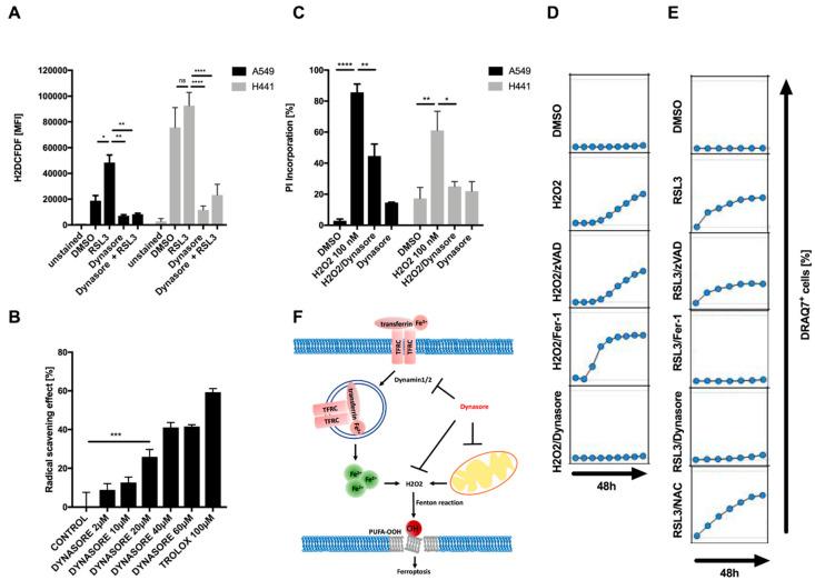 https://cdn.ncbi.nlm.nih.gov/pmc/blobs/61bf/7650611/92399a75f3ec/cells-09-02259-g004.jpg