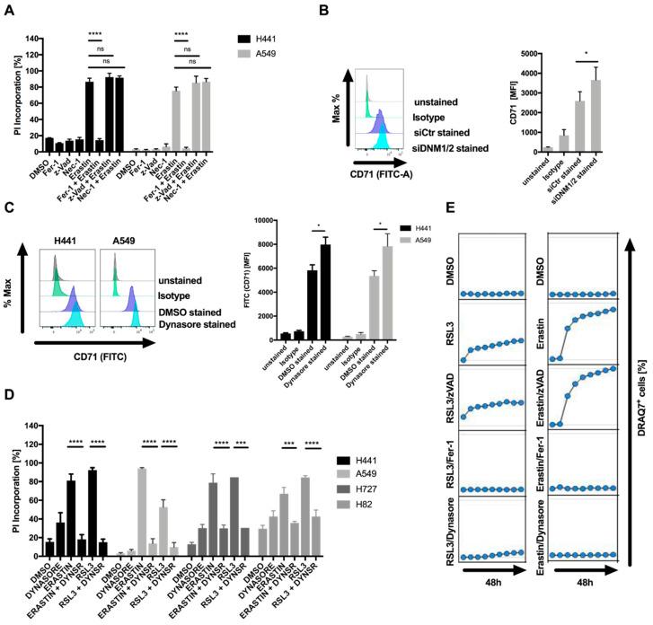 https://cdn.ncbi.nlm.nih.gov/pmc/blobs/61bf/7650611/ed6ecd95e655/cells-09-02259-g001.jpg