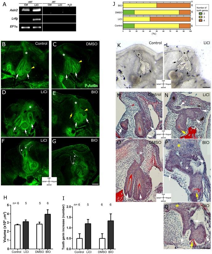 https://cdn.ncbi.nlm.nih.gov/pmc/blobs/61c0/3760860/5d39367fd541/pone.0074484.g003.jpg