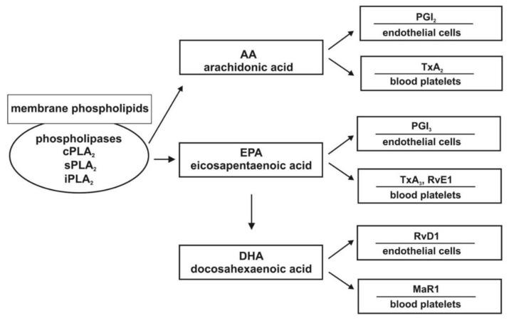 https://cdn.ncbi.nlm.nih.gov/pmc/blobs/61c1/7957531/fe2b6744d449/ijms-22-02394-g001.jpg
