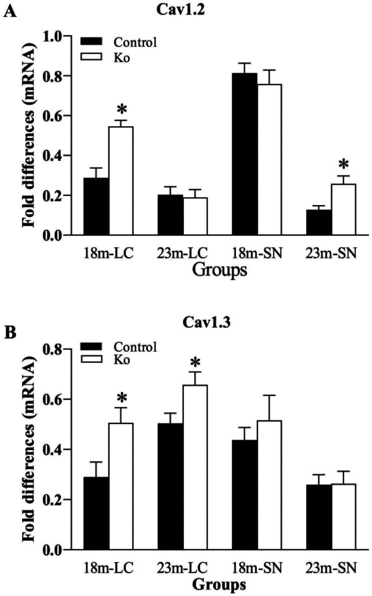 https://cdn.ncbi.nlm.nih.gov/pmc/blobs/61c1/9880594/b00f6eced9e6/10.1177_17590914231152099-fig5.jpg