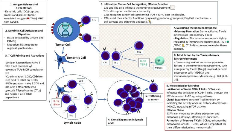 https://cdn.ncbi.nlm.nih.gov/pmc/blobs/61c3/11394638/870a8b9c0724/cells-13-01437-g002.jpg