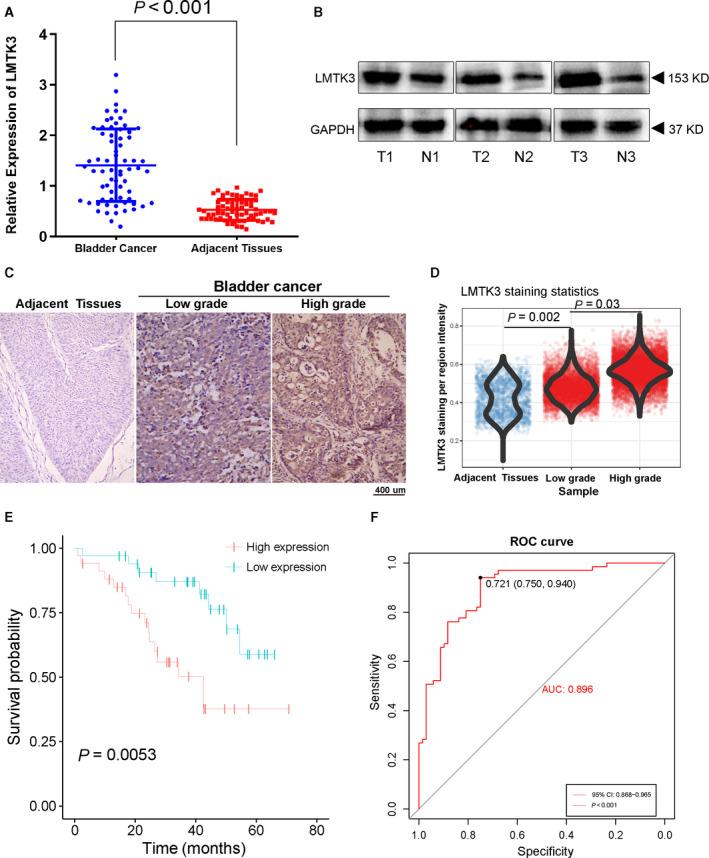 https://cdn.ncbi.nlm.nih.gov/pmc/blobs/61c5/7530379/e4cea1c15f01/FEB4-10-2107-g003.jpg