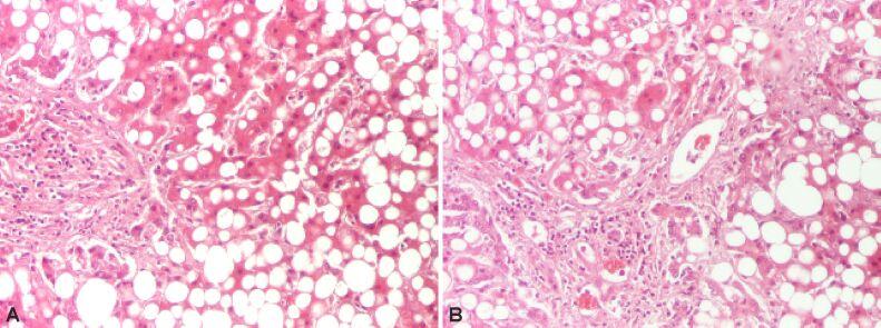 https://cdn.ncbi.nlm.nih.gov/pmc/blobs/61c5/8343491/2b0d29281b47/RJME-61-4-1023-fig3.jpg