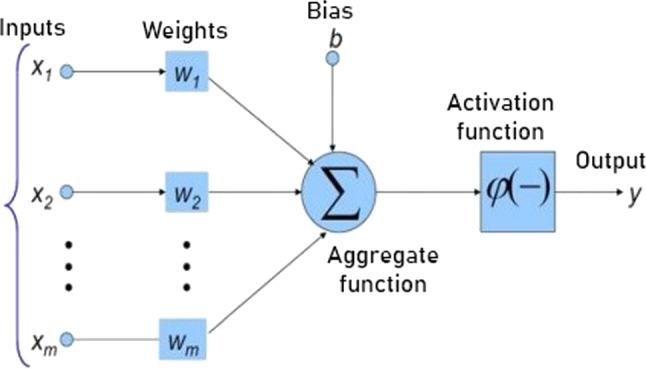 https://cdn.ncbi.nlm.nih.gov/pmc/blobs/61c5/9584244/81d0cbf26ed2/500_2022_7592_Fig1_HTML.jpg