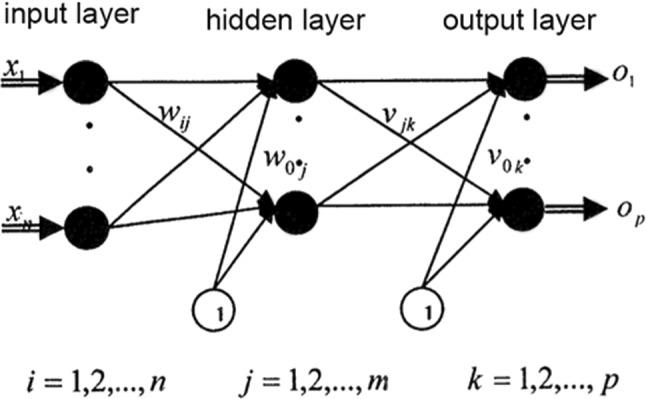 https://cdn.ncbi.nlm.nih.gov/pmc/blobs/61c5/9584244/ffe330b24b21/500_2022_7592_Fig2_HTML.jpg
