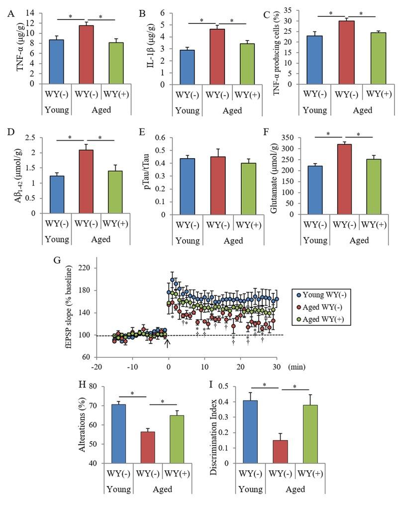 https://cdn.ncbi.nlm.nih.gov/pmc/blobs/61c7/6555451/8f32a8e43c9a/aging-11-101909-g005.jpg
