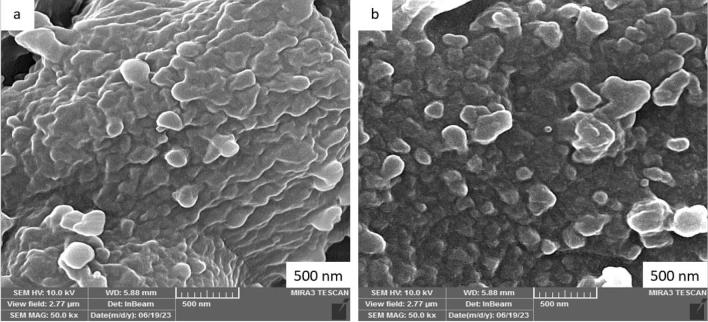 https://cdn.ncbi.nlm.nih.gov/pmc/blobs/61c8/10589219/4f1ecd8ef793/41598_2023_44288_Fig2_HTML.jpg