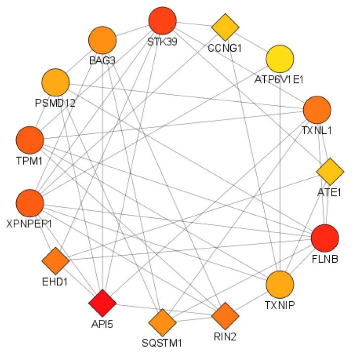 https://cdn.ncbi.nlm.nih.gov/pmc/blobs/61c9/9406916/4d1bed14b193/cimb-44-00241-g007.jpg