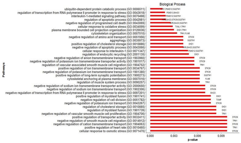 https://cdn.ncbi.nlm.nih.gov/pmc/blobs/61c9/9406916/a23d366bd37d/cimb-44-00241-g008.jpg