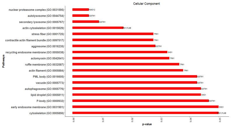 https://cdn.ncbi.nlm.nih.gov/pmc/blobs/61c9/9406916/b8295cd27d38/cimb-44-00241-g010.jpg