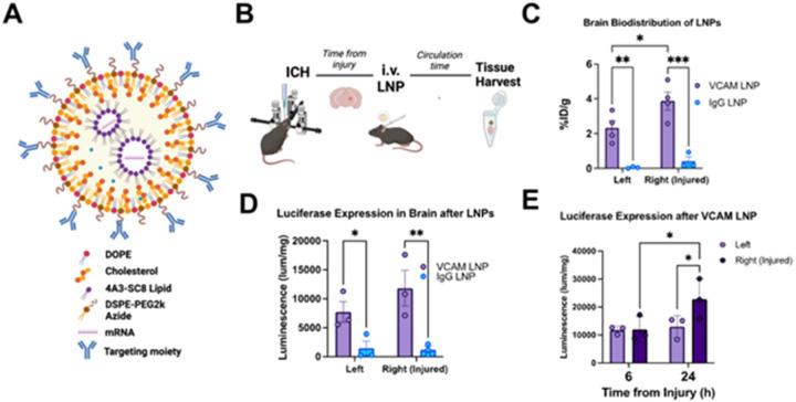 https://cdn.ncbi.nlm.nih.gov/pmc/blobs/61cb/12036467/3bb4805f7411/nihpp-rs6347773v1-f0001.jpg