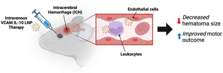 https://cdn.ncbi.nlm.nih.gov/pmc/blobs/61cb/12036467/59229147830a/nihpp-rs6347773v1-f0006.jpg