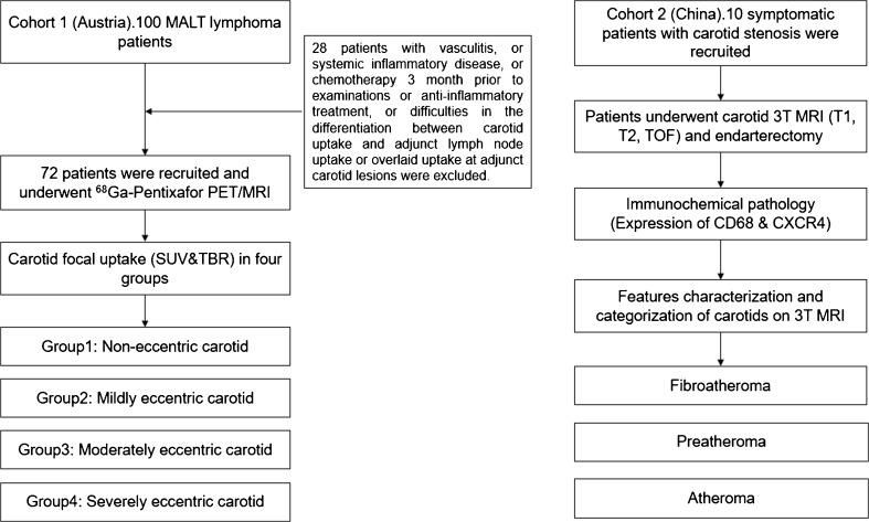 https://cdn.ncbi.nlm.nih.gov/pmc/blobs/61cb/6584241/a09af152002e/259_2019_4322_Fig1_HTML.jpg