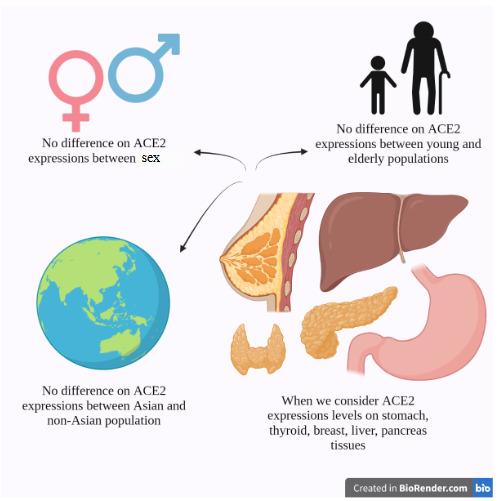 https://cdn.ncbi.nlm.nih.gov/pmc/blobs/61cb/8573834/8000103ff271/turkjbio-45-404-fig004.jpg