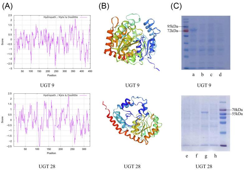 https://cdn.ncbi.nlm.nih.gov/pmc/blobs/61cc/11510602/1424c77792b5/molecules-29-04936-g007.jpg