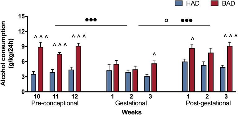 https://cdn.ncbi.nlm.nih.gov/pmc/blobs/61cd/5930268/f157dc76f10b/fpsyt-09-00150-g0002.jpg