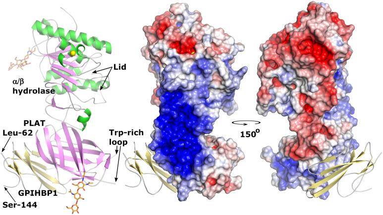 https://cdn.ncbi.nlm.nih.gov/pmc/blobs/61ce/9457329/549e5288e029/pnas.2211136119fig05.jpg