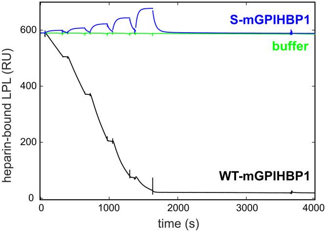 https://cdn.ncbi.nlm.nih.gov/pmc/blobs/61ce/9457329/66f13a0628ab/pnas.2211136119fig07.jpg