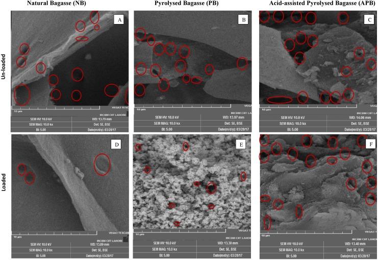 https://cdn.ncbi.nlm.nih.gov/pmc/blobs/61d2/6166628/7b07f54d81a5/peerj-06-5672-g002.jpg