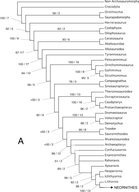 https://cdn.ncbi.nlm.nih.gov/pmc/blobs/61d3/2517308/948db6da3160/zoj0149-0001-f12.jpg