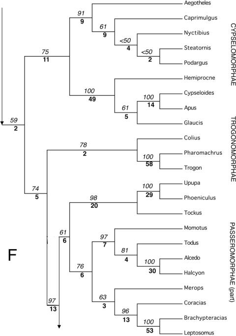 https://cdn.ncbi.nlm.nih.gov/pmc/blobs/61d3/2517308/da03c85e459f/zoj0149-0001-f17.jpg