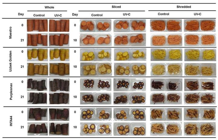 https://cdn.ncbi.nlm.nih.gov/pmc/blobs/61d4/10053824/12fb0d322147/plants-12-01297-g006.jpg