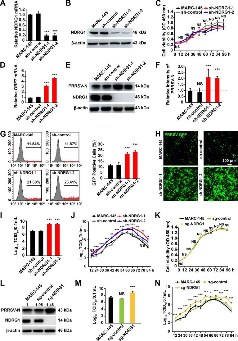 https://cdn.ncbi.nlm.nih.gov/pmc/blobs/61d4/6694807/01f92477cbdc/JVI.00526-19-f0003.jpg