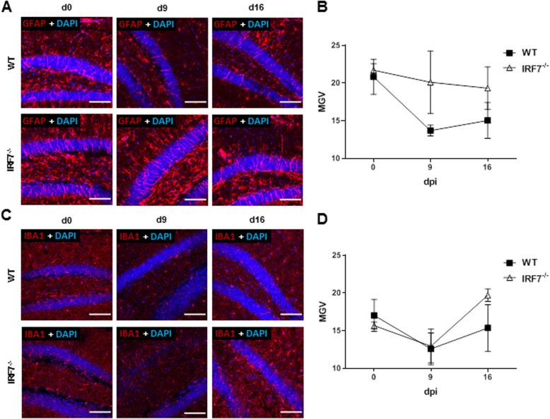 https://cdn.ncbi.nlm.nih.gov/pmc/blobs/61d4/7504599/d2306d1e36a8/12974_2020_1951_Fig10_HTML.jpg