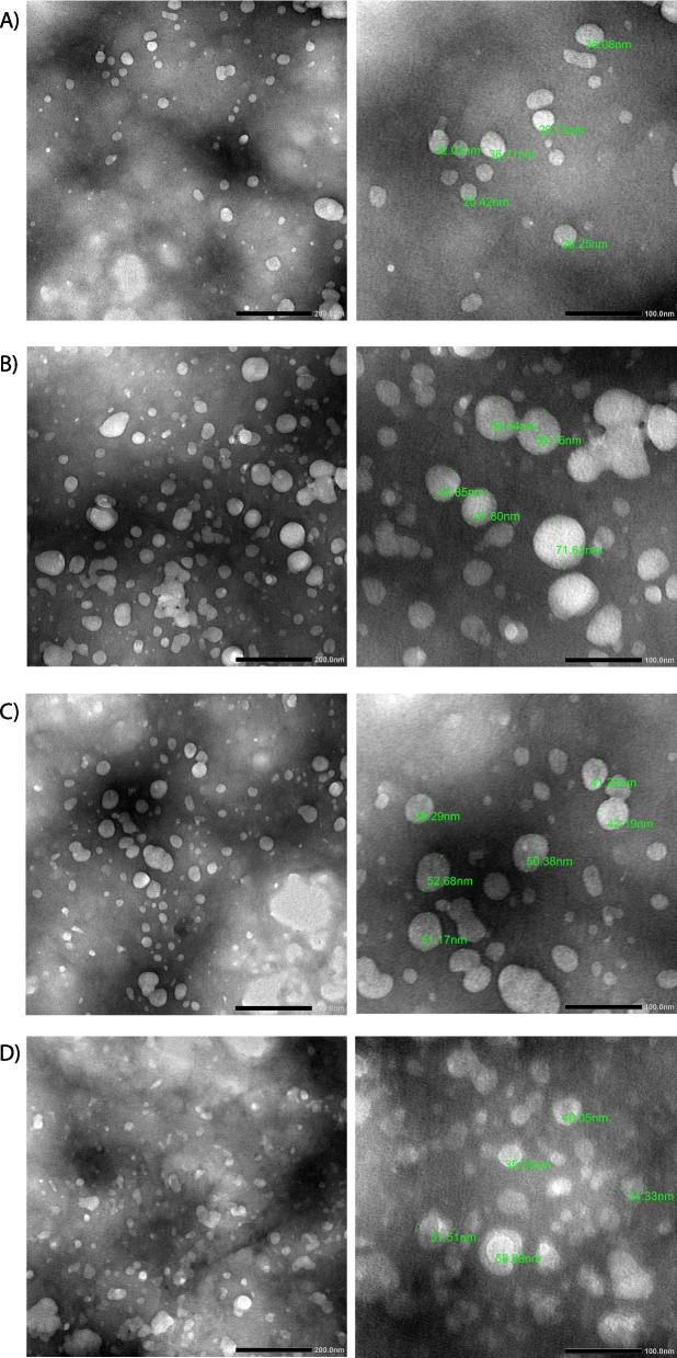 https://cdn.ncbi.nlm.nih.gov/pmc/blobs/61d7/10604858/a6944ca50e61/12906_2023_4212_Fig8_HTML.jpg