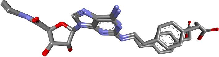 https://cdn.ncbi.nlm.nih.gov/pmc/blobs/61d7/10604858/c82326950225/12906_2023_4212_Fig9_HTML.jpg