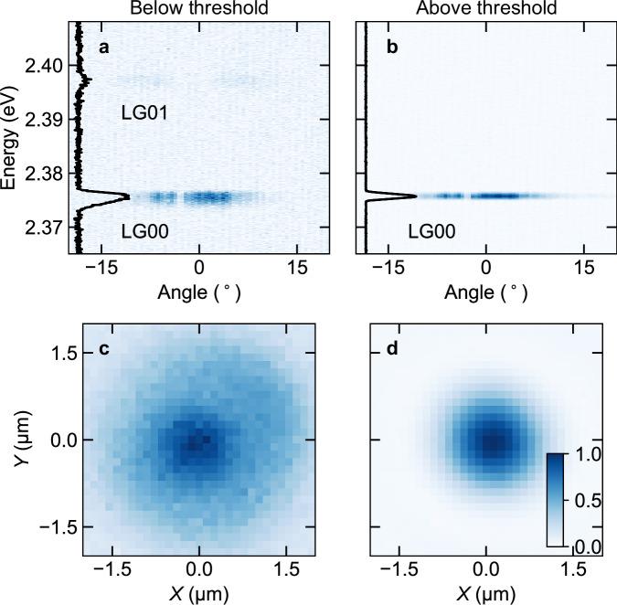 https://cdn.ncbi.nlm.nih.gov/pmc/blobs/61db/12141476/e8d6a3a67e82/41467_2025_60553_Fig2_HTML.jpg