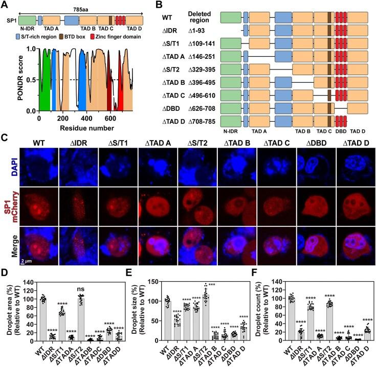 https://cdn.ncbi.nlm.nih.gov/pmc/blobs/61df/12397910/09a8dcc93be4/gkaf827fig5.jpg