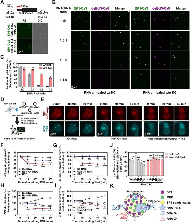 https://cdn.ncbi.nlm.nih.gov/pmc/blobs/61df/12397910/5db30636f665/gkaf827fig6.jpg