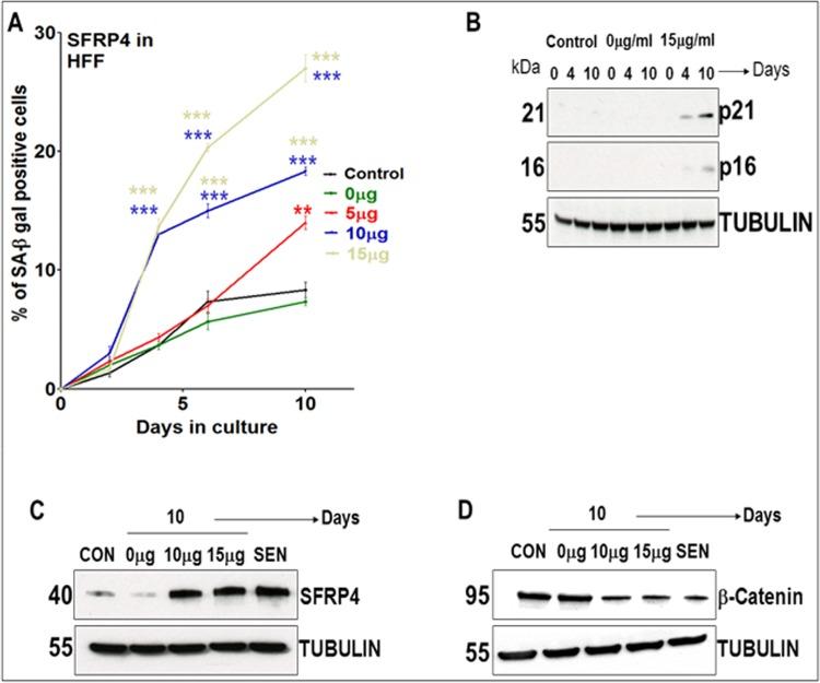 https://cdn.ncbi.nlm.nih.gov/pmc/blobs/61df/4854426/0311286d7bf2/pone.0154531.g006.jpg
