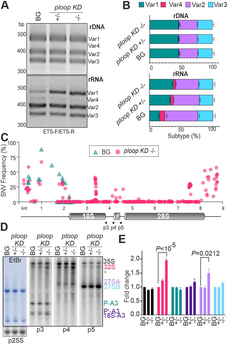 https://cdn.ncbi.nlm.nih.gov/pmc/blobs/61e1/10761087/3e1fa0dcc6af/KRNB_A_2298532_F0003_OC.jpg