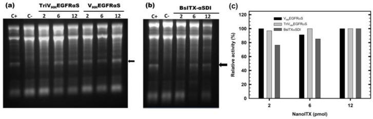 https://cdn.ncbi.nlm.nih.gov/pmc/blobs/61e2/10377705/314cb936c572/biomolecules-13-01042-g004.jpg