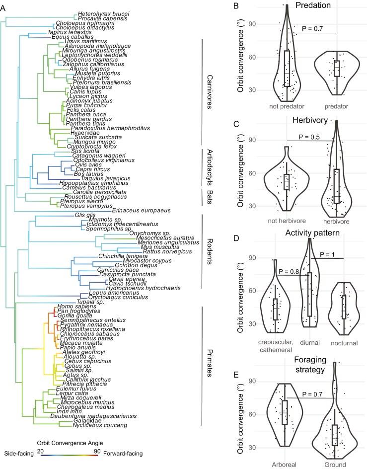 https://cdn.ncbi.nlm.nih.gov/pmc/blobs/61e2/11968189/219fa91dc810/qrae072_fig2.jpg