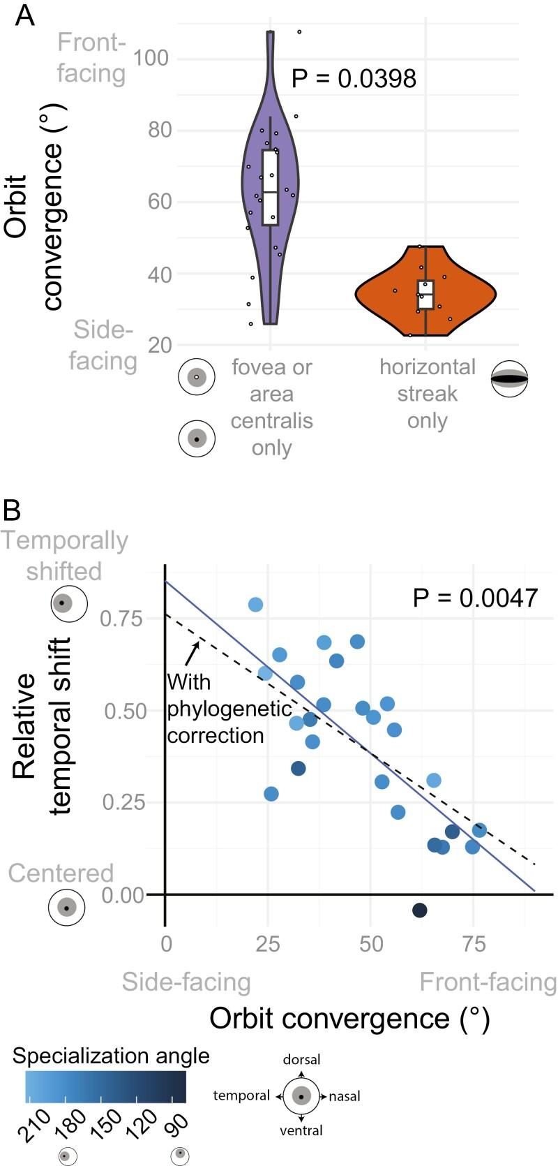 https://cdn.ncbi.nlm.nih.gov/pmc/blobs/61e2/11968189/edcc06359fc0/qrae072_fig4.jpg
