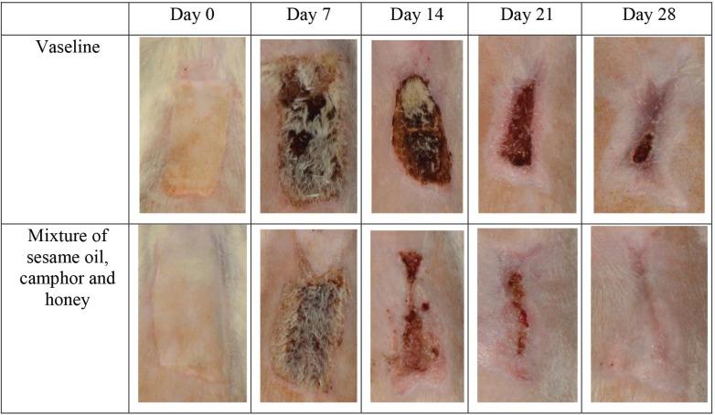 https://cdn.ncbi.nlm.nih.gov/pmc/blobs/61e4/5890368/c443919a77b9/wjps-7-067-g003.jpg