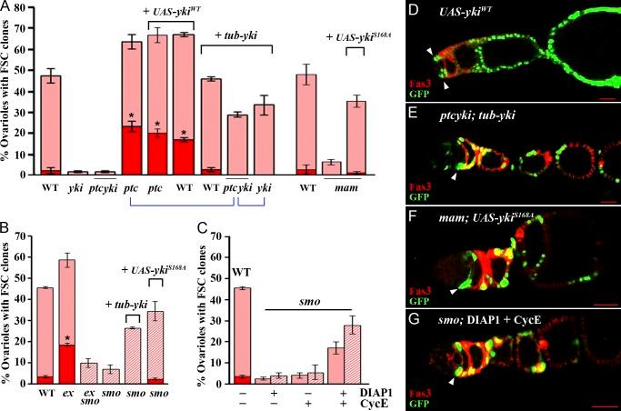 https://cdn.ncbi.nlm.nih.gov/pmc/blobs/61e5/4018789/9d4ea54988dd/JCB_201309141_Fig6.jpg