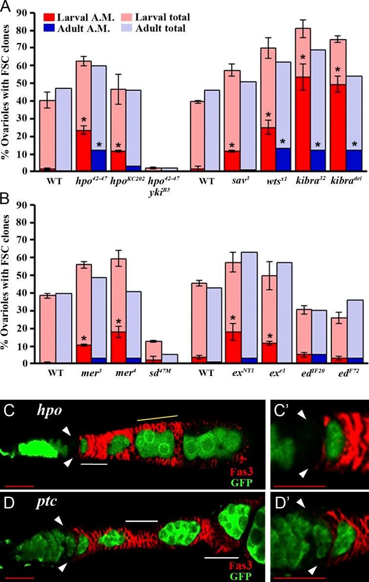 https://cdn.ncbi.nlm.nih.gov/pmc/blobs/61e5/4018789/e68791c1074b/JCB_201309141_Fig3.jpg