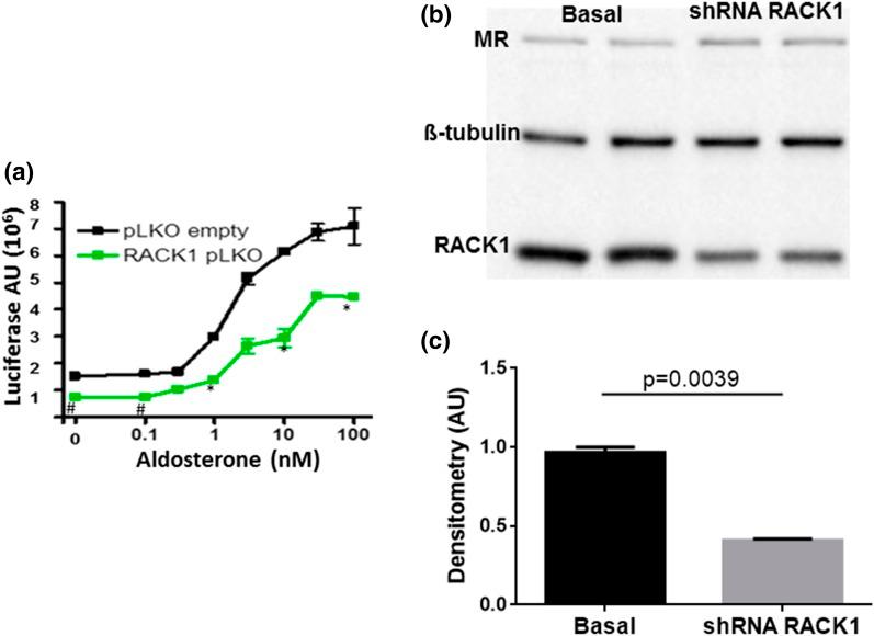 https://cdn.ncbi.nlm.nih.gov/pmc/blobs/61e6/5505217/7081f4ca117e/en.2017-00095f4.jpg