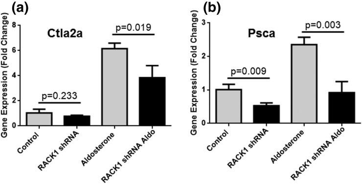 https://cdn.ncbi.nlm.nih.gov/pmc/blobs/61e6/5505217/e2549a0dd265/en.2017-00095f5.jpg