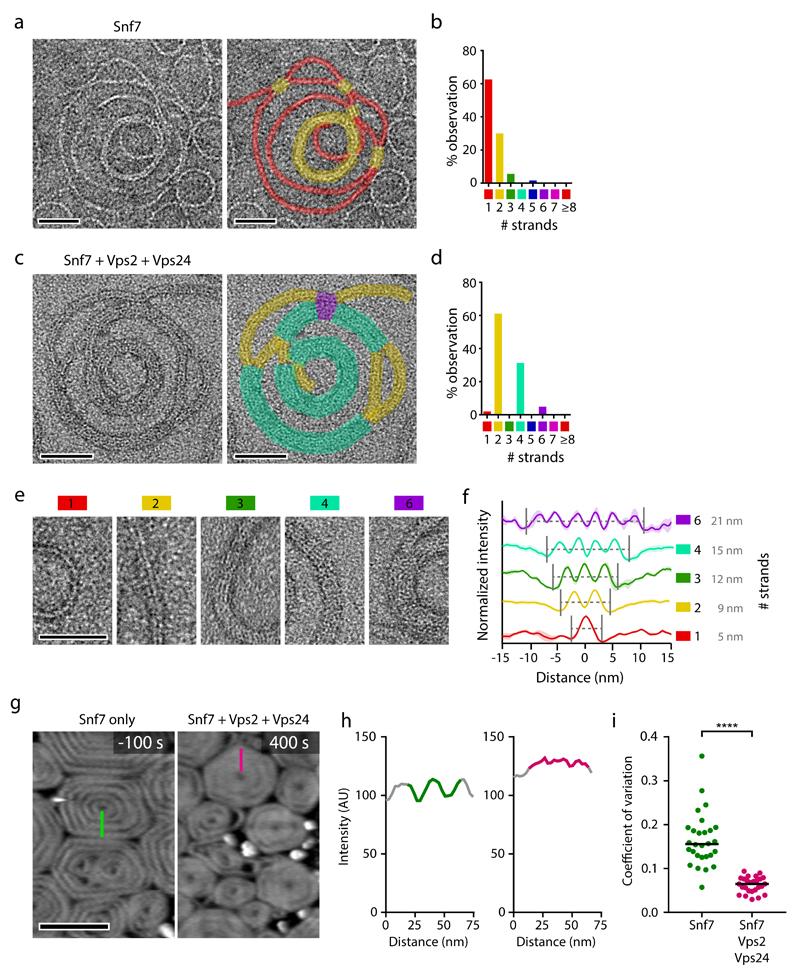 https://cdn.ncbi.nlm.nih.gov/pmc/blobs/61e7/5493987/42109291618b/emss-72886-f005.jpg