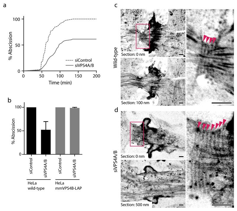 https://cdn.ncbi.nlm.nih.gov/pmc/blobs/61e7/5493987/e7e6467a5397/emss-72886-f003.jpg